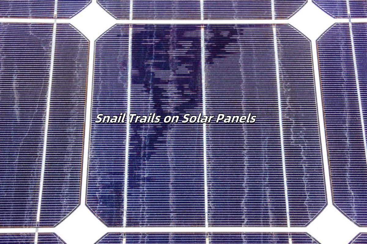 Snail Trails on Solar Panels Sentiers d'escargots sur des panneaux solaires